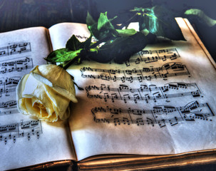 The withering rose lies on the ancient book with notes