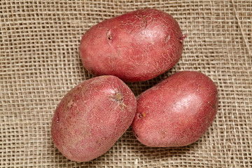 Red potato on black wood table in kitchen. Preperation for cooking.