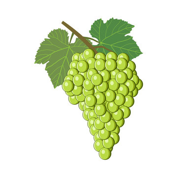 green_grape