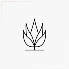 decorative plants line icon