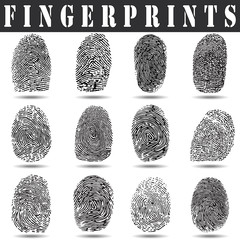 fingerprint vector illustration.fingerprint scan