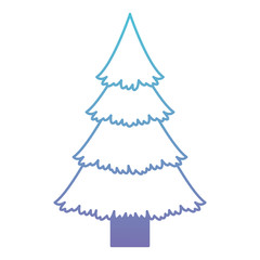 Fototapeta premium pine tree christmas icon vector illustration design