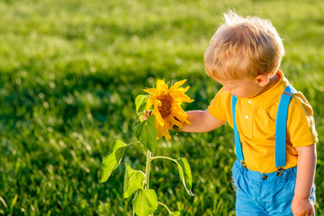 One year old baby boy looking at sunflower