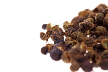 Chinese prickly ash, white background