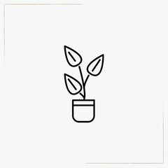 plants line icon