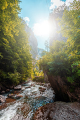 wonderful sunny mountain scenery. river in canyon in mountans gloving in sunlight. Romania-...