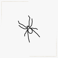 spider line icon