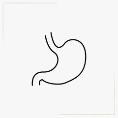 stomach  line icon