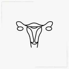 female sex organ line icon