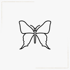 butterfly line icon