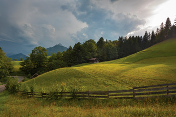 Grass field and fence in Alps, Germany