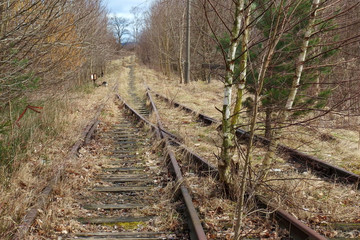 Nieczynna linia kolejowa Sierakowice - Kartuzy © Iwona