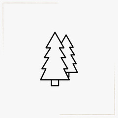 spruce tree line icon