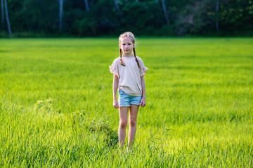 Adorable girl walking in rice field