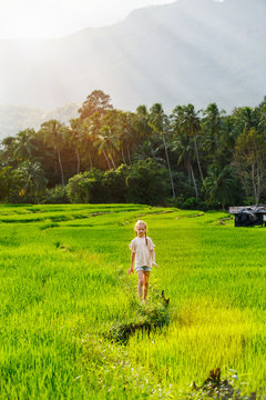 Adorable girl walking in rice field