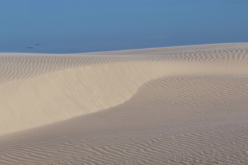 White Sand Desert
