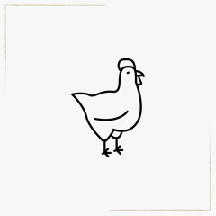 Fototapeta premium cock line icon