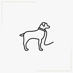 dog line icon