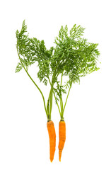 carrots with leaves isolated