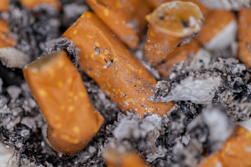 a lot of cigarette butts in an ashtray