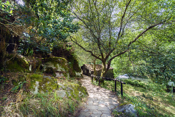 Path of slabs of access to a rural house in a forest full of vegetation and with rocky walls, in Galicia, Spain