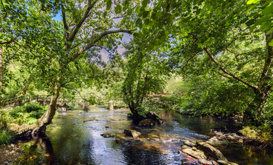View of the mountain river called Anllons with the riverbed full of stones and a small island with trees in the center. With banks covered with oaks, typically Atlantic forest in Galicia, Spain