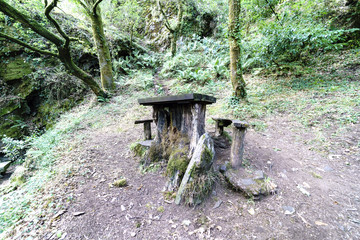Old and rustic wooden table with benches for picnics in a glade of a typical atlantic forest in Galicia, Spain.