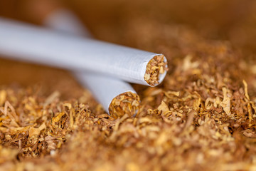 two cigarettes lies on brown tubing tobacco