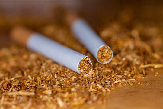 two cigarettes lies on brown tubing tobacco