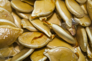 sunflower seeds isolated on white background