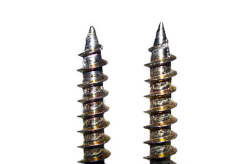 wood screws isolated on white background