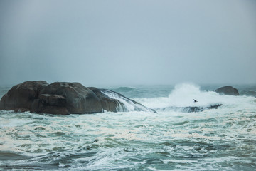 Rocks on Bakoven Beach, Cape Town with birds in the background.