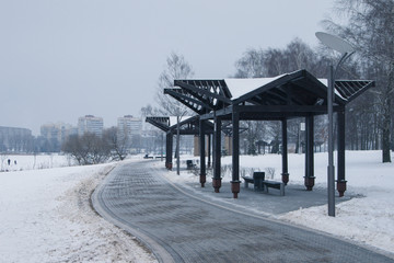 Snow-covered trees and benches in the city park.