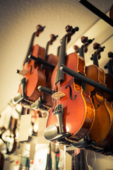 Violins in a musical instruments shop