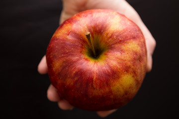 a ripe red and yellow apple in woman's hand