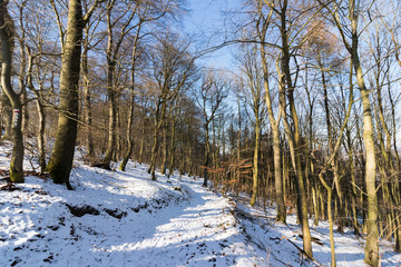 Fototapeta na wymiar Winterlicher Bergkamm
