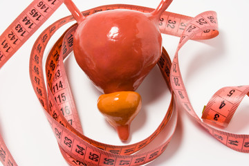 Measurement of bladder and prostate as definition of symptom or sign of disease, e.g. enlarged...
