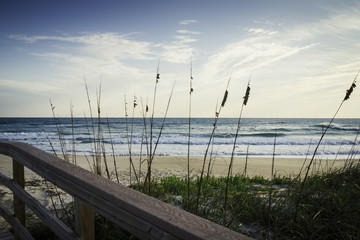 Canaveral National Seashore in Florida