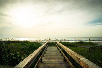 Obraz premium Canaveral National Seashore in Florida
