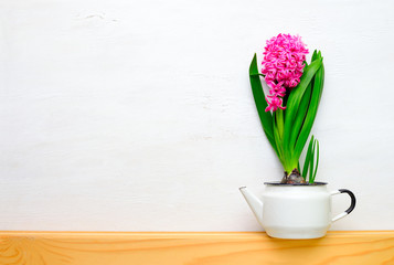 Spring concept background