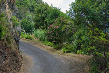 Little mountain road on Sao Miguel