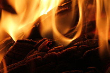 Burning flames close-up background