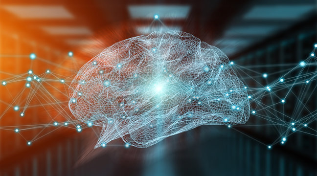 Human brain digital x-ray 3D rendering