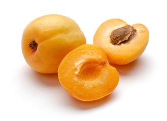 Apricot