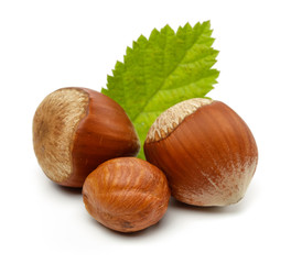 Hazelnut