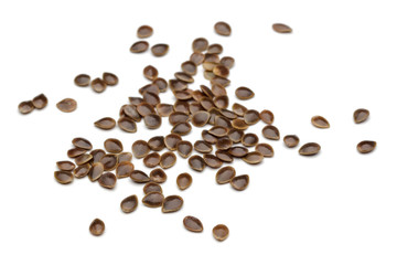Obraz premium Nettle seeds