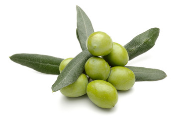 Olive