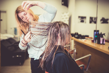 Fototapeta premium Woman in hair salon getting her hair cut by the hairdresser. 