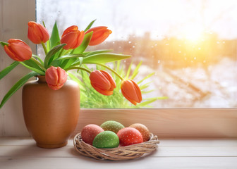Spring background with grass and tulips on window board on a sunset after rain
