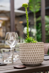 cutlery of a gourmet restaurant table with greenery in the background